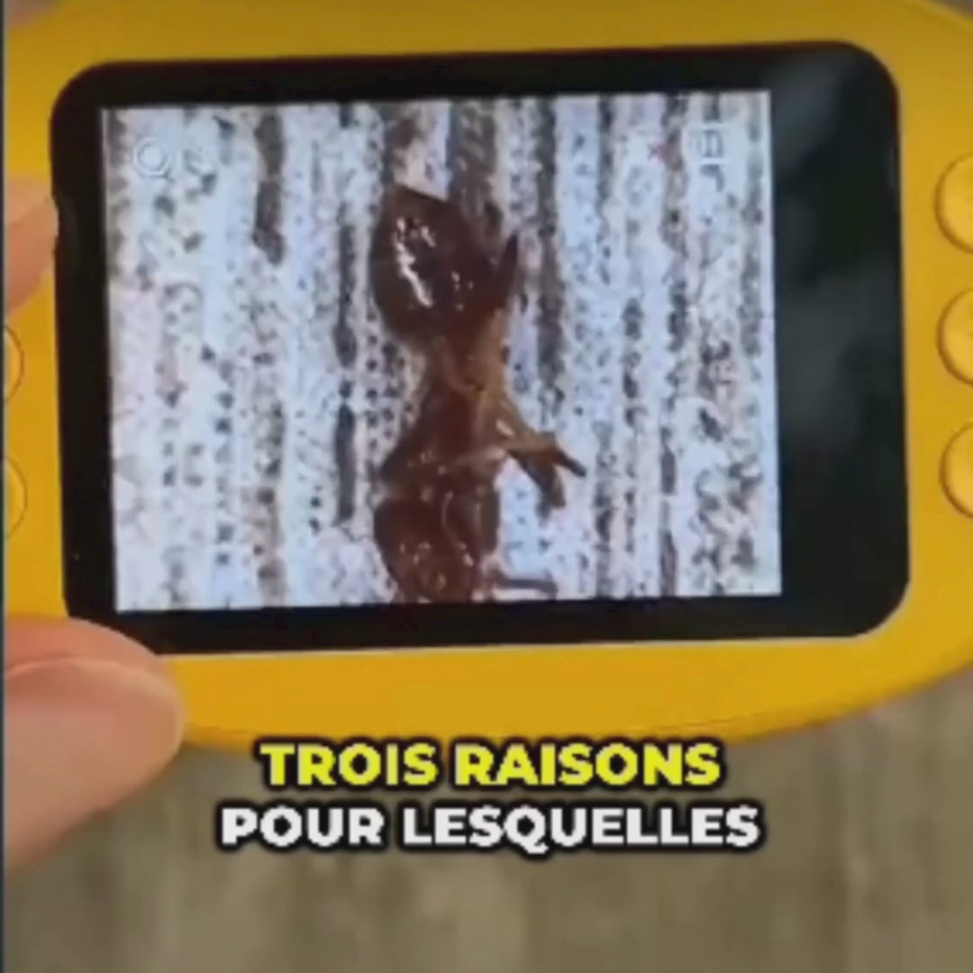 Charger la vidéo : 